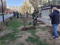В Астрахани продолжается весенняя уборка и озеленение территорий