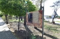 В Братском саду открылась фотовыставка «Ожившие строчки военных лет»