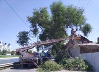 Набережная 1 мая молодеет