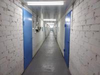 Собак на астраханских улицах станет меньше