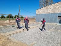 Собак на астраханских улицах станет меньше