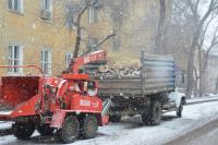 На улице Костина идёт большая опиловка