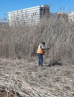 В Астрахани стартовал сезон Дней чистоты