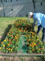 В Астрахани полным ходом идёт сезон весеннего благоустройства