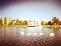 МБУ г. Астрахани "Зеленый город"