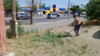 В Астрахани скосили почти 200 гектаров сорной растительности