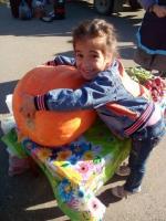 Сельскохозяйственная ярмарка на Центральном стадионе