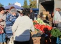 Сельскохозяйственная ярмарка на Центральном стадионе