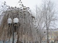 Зима в Братском саду